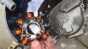 IMG-20201230-WA0004.jpeg