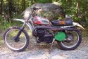 Husky2501.jpg