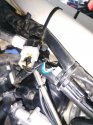 IMG_20220930_164205.jpg