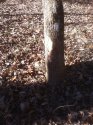 IMG_0058.jpg
