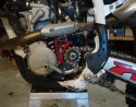 Copy of husky pics 035.JPG