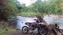 100_4428.JPG