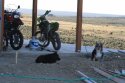 IMG_2125.JPG