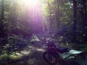 trail250.JPG