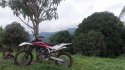 100_9881.JPG
