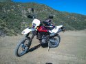 WP_000394.jpg