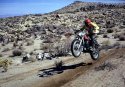 DESERT-78.JPG
