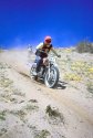 DESERT-296.JPG