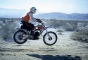 DESERT-302.JPG
