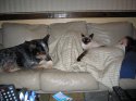 IMG_0034.JPG