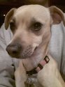 20121225_181559.jpg