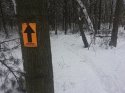 Snowy single track.jpg