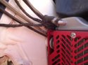 shop pics 120.JPG