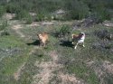 Pics of running and riding 001.JPG