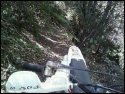 794232998_2816190310_0[1].jpg