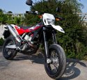 Husky_74R2558.jpg