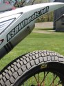 Golden tyre 002.jpg