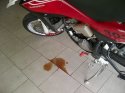 IMG-20130710-00174.jpg