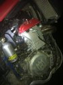 IMG_4805.jpg IMG_4805.jpg