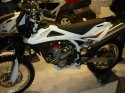 ShinerayHusqvarna.jpg