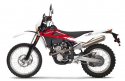 te250 low.jpg