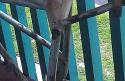 82 shock mount.PNG