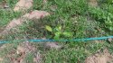 496_0668.JPG 496_0668.JPG