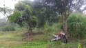 496_0807.JPG