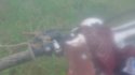 100_0259.JPG