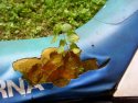 110232_178_moto-verte.jpg