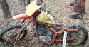 110232_1586_roach87.jpg