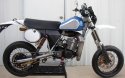 finished husky 012.jpg