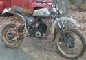 huskyrh_zps5b943134.jpg