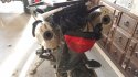 20140508_191127.jpg