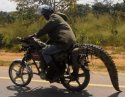 moto caiman croco.jpg