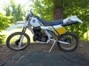husky 008.jpg