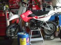 DSCF0490.JPG