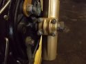husky front 001.jpg