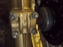 husky front 002.jpg