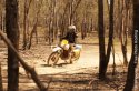 510 at echuca 3.jpg