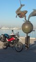 20141014_072948.jpg