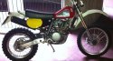 husky1-1024x764.jpg