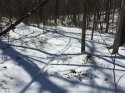 IMG_0056.JPG