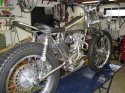triumph_2a.jpg