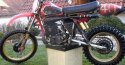 Husky-468-010.jpg