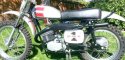rupp mx 1975.jpg