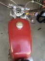 Husky 008.JPG