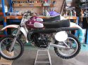 husky finished 003.jpg
