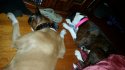 20151025_111949.jpg