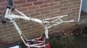 20160206_104135.jpg